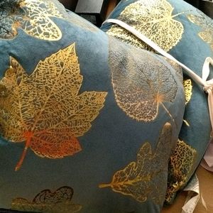 Set of 2 Pillows